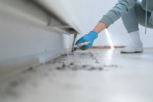 Best Best Pest Control Companies  in Concord, NH
